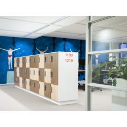 Functionals Aquarius houten locker 