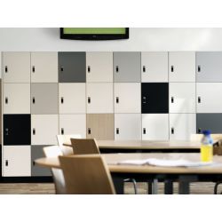 Functionals Aquarius houten locker 