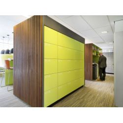 Functionals Aquarius houten locker 
